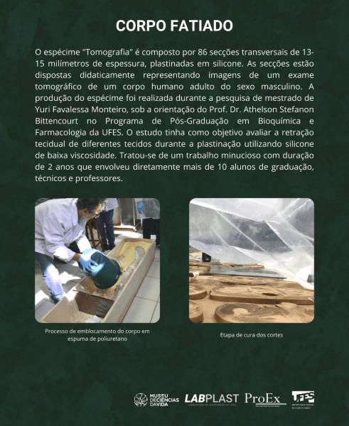  O espécime &quot;Tomografia&quot; é composto por 86 secções transversais de 13-15 milímetros de espessura, plastinadas em silicone. As secções estão dispostas didaticamente representando imagens de um exame tomográfico de um corpo humano adulto do sexo masculino. A produção do espécime foi realizada durante a pesquisa de mestrado de Yuri Favalessa Monteiro, sob a orientação do Prof. Dr. Athelson Stefanon Bittencourt no Programa de Pós-Graduação em Bioquímica e Farmacologia da UFES. O estudo tinha como objetivo avaliar a retração tecidual de diferentes tecidos durante a plastinação utilizando silicone de baixa viscosidade. Tratou-se de um trabalho minucioso com duração de 2 anos que envolveu diretamente mais de 10 alunos de graduação, técnicos e professores.