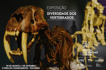 Diversidade dos Vertebrados